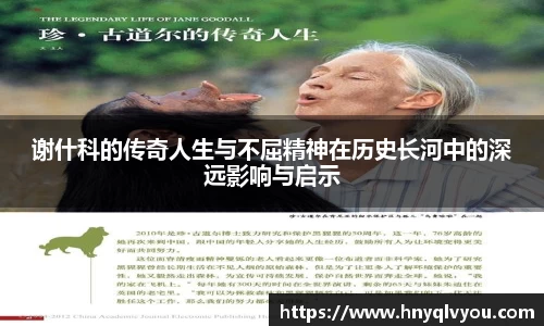 VSport官网入口vsport体育在线官网
