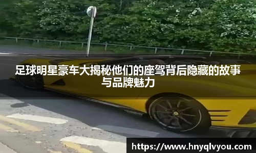 VSport官网入口vsport体育在线官网